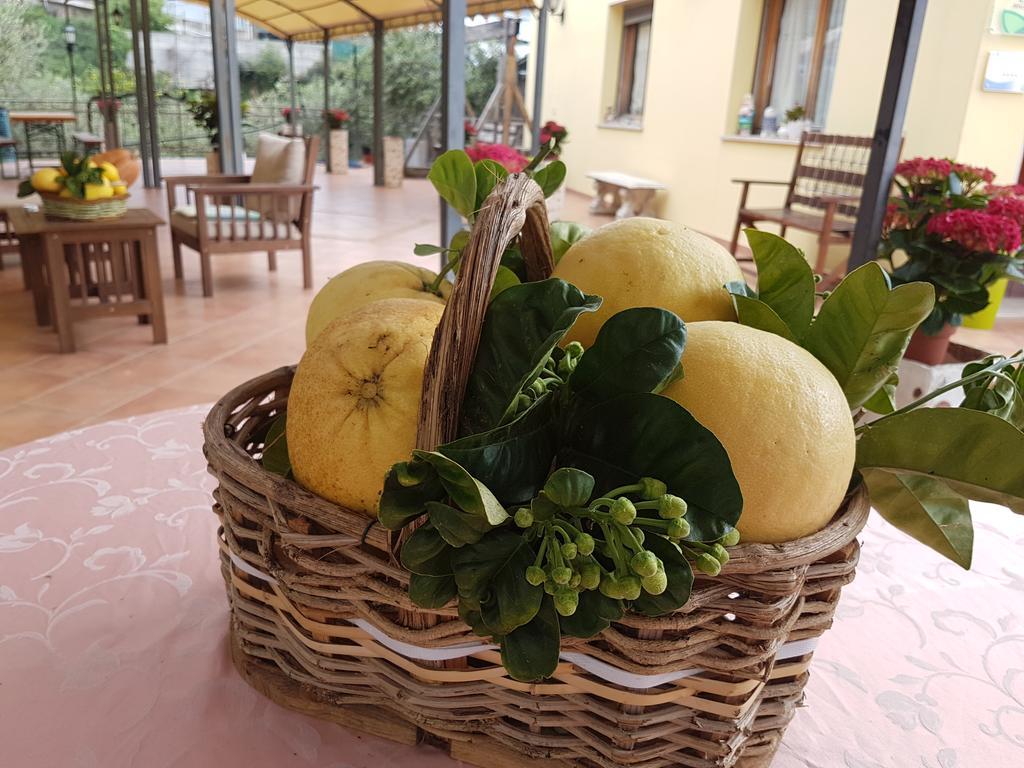 Agriturismo Al Nido Degli Aironi Sanremo Luaran gambar