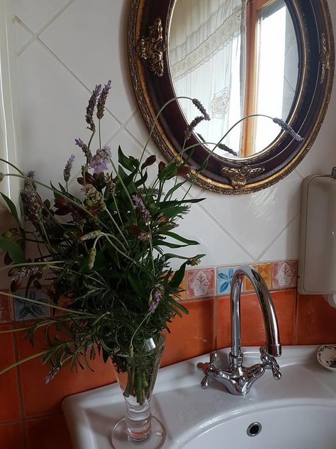 Agriturismo Al Nido Degli Aironi Sanremo Luaran gambar