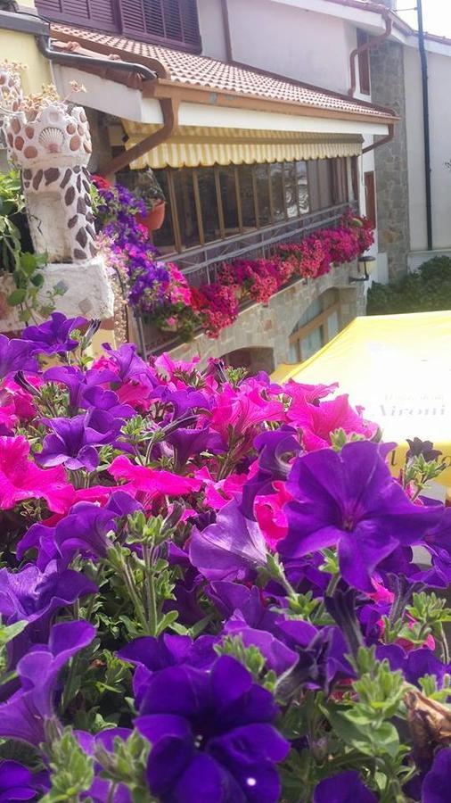 Agriturismo Al Nido Degli Aironi Sanremo Luaran gambar